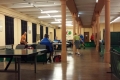 pingpong2