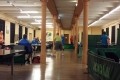 pingpong3